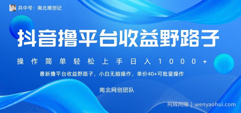 最新撸抖音平台收益野路子，操作简单，单价高，小白可无脑操作可日入1000+