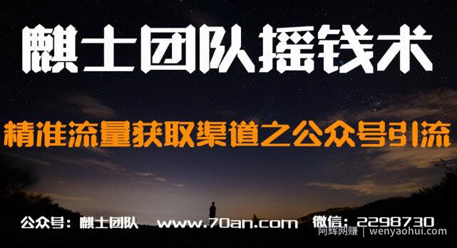 麒士团队摇钱术29：精准流量获取渠道之公众号引流【视频课程】
