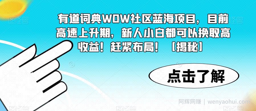 有道词典WOW社区蓝海项目，目前高速上升期，新人小白都可以换取高收益！赶紧布局！【揭秘】