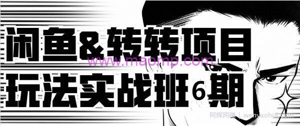 宅男闲鱼《2019闲鱼&转转项目玩法实战班》线上第六期（完整视频+文档）