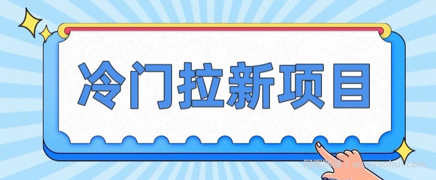 冷门拉新项目，一单4块，操作简单流量大，变现快