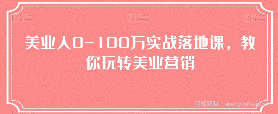 美业人0-100万实战落地课，教你玩转美业营销