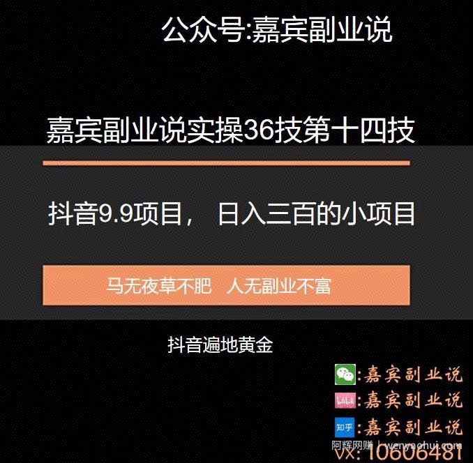 嘉宾副业说实操36技第十四技：抖音9.9项目，日入三百的小项目