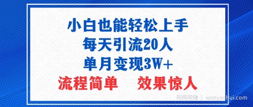 小白也能轻松上手的宝妈项目，每天引流20人，单月变现3W+，流程简单，效果惊人
