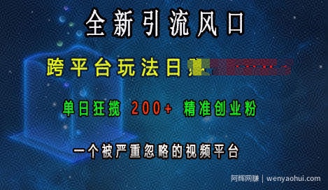 全新引流风口，跨平台玩法日入上k，单日狂揽200+精准创业粉，一个被严重忽略的视频平台