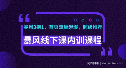 暴风线下课淘宝内训课程(暴风3拖1，淘宝首页流量起爆，超级推荐)视频+录音+文档