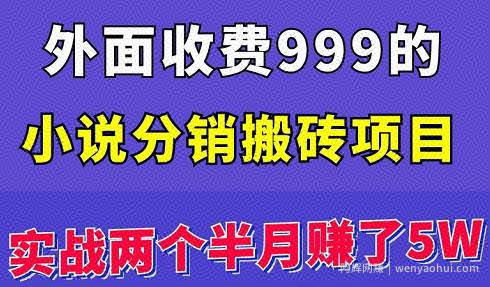 外面收费999的小说分销搬砖项目：实战两个半月赚了5W块，操作简单！