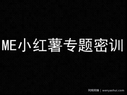 ME小红薯专题密训-小红书电商教程