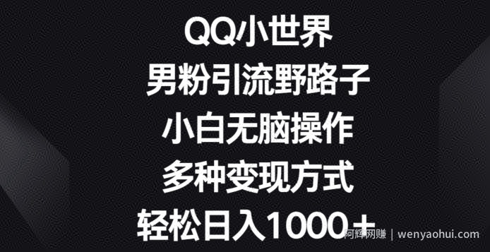 QQ小世界男粉引流野路子，小白无脑操作，多种变现方式轻松日入1000+