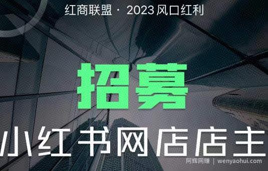 红商联盟·小红书无货源电商1.0，0粉丝无需囤货，小白也可以轻松上手的无货源项目