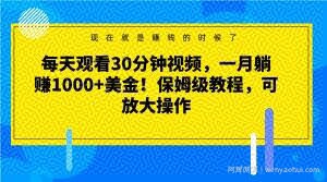 每天观看30分钟视频，一月躺赚1000+美金！保姆级教程，可放大操作【揭秘】