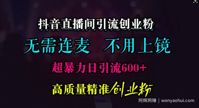 抖音直播间引流创业粉，无需连麦、无需上镜，超暴力日引流600+高质量精准创业粉【揭秘】