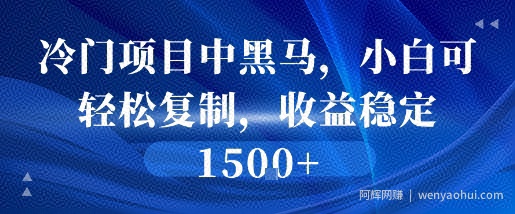 冷门项目中黑马，小白可轻松复制，收益稳定1.5k