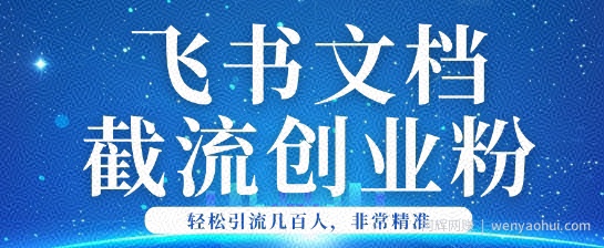 利用飞书文档截流创业粉轻松引流200+