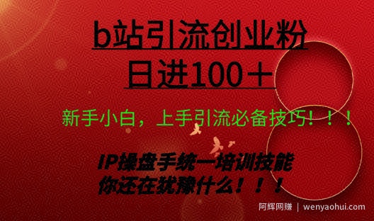 日引创业粉 100+ b 站全套打法【实操教学】不容错过