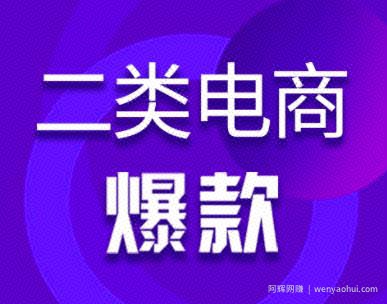 聊一个小众的电商项目——二类电商,类似1688无货源,但重广告投放。