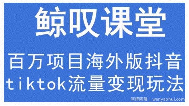 鲸叹号·海外TIKTOK训练营,百万项目海外版抖音tiktok流量变现玩法