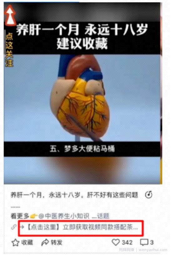 视频号变现玩法解析：4个不同寻常的变现类目分析