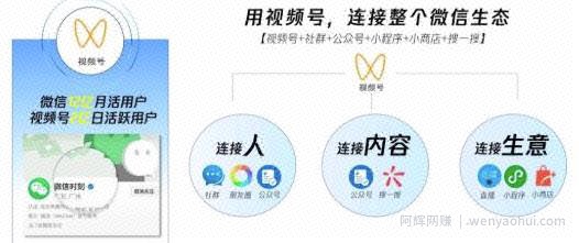 从0到1带你玩赚视频号：这么玩才賺米，日引流500+日收入1000+核心玩法