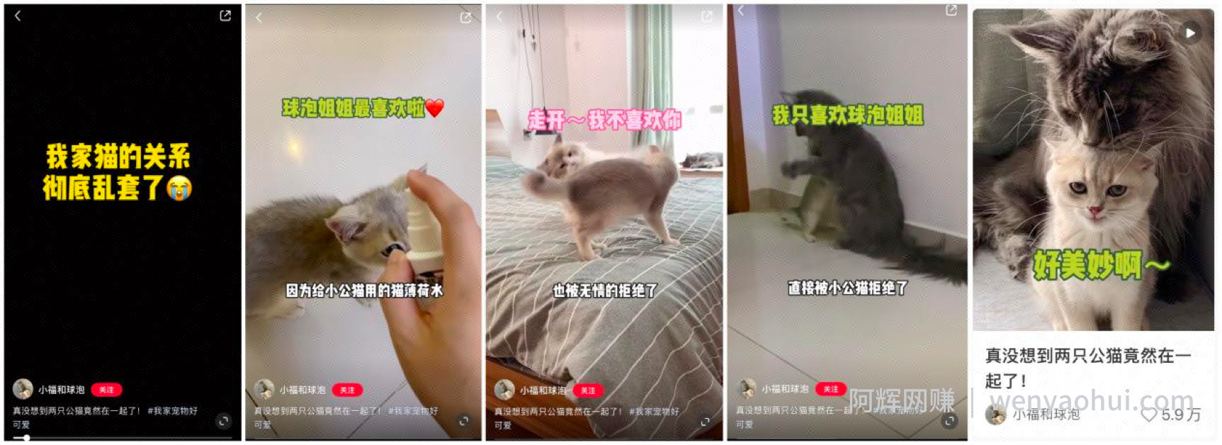 6000字讲透小红书爆文核心秘籍，形成自己的爆文