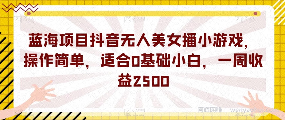 蓝海项目抖音无人美女播小游戏，操作简单，适合0基础小白，一周收益2500【揭秘】