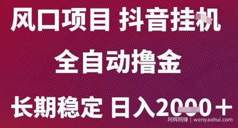 风口项目，六月最新玩法抖音无人挂G，全自动撸金，长期稳定 日入2k+【揭秘】