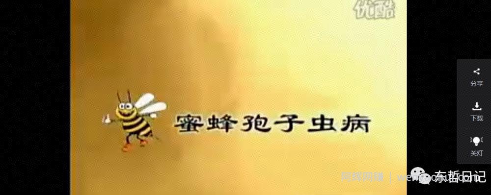 东哲日记：全网首创实物虚拟电商项目，速来捡钱，成本低，一单赚几十块！