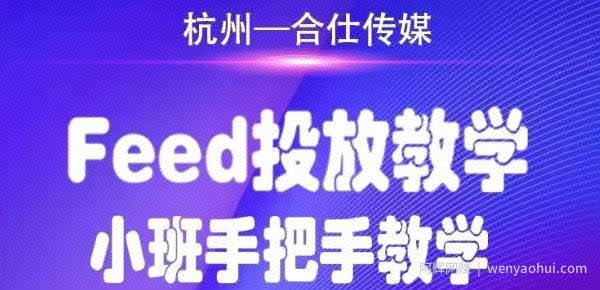 合仕传媒Feed投放教学，手把手教学，开车烧钱必须自己会！