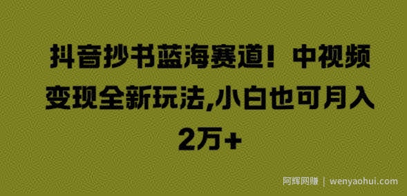 抖音抄书蓝海赛道，中视频变现全新玩法，小白也可月入2W+