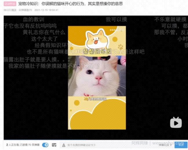 宠物号月挣10W+副业项目思维，适合新手矩阵放大，无偿分享给有缘人！