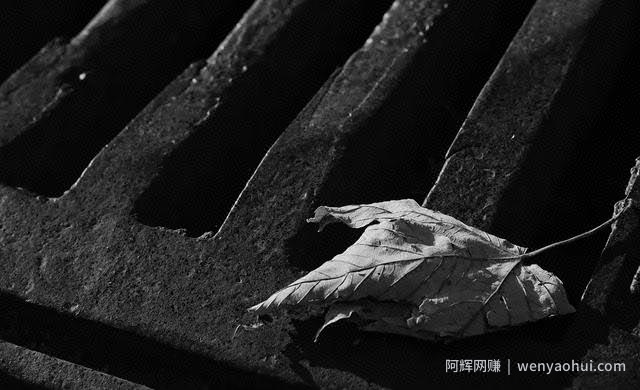 怎么引流进准粉丝，为什么我在淘宝能引流并持续增长