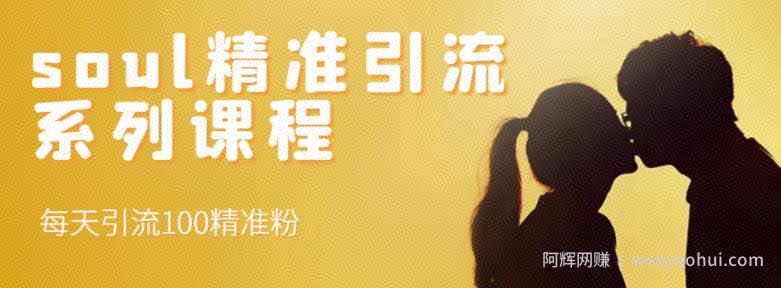 soul精准引流系列课程，每天引流100精准粉