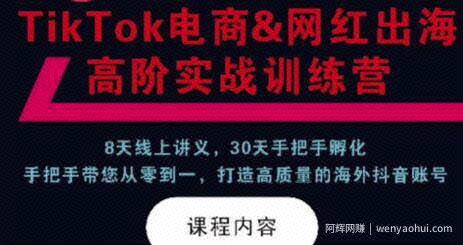TikTok电商&网红出海高阶实战训练营：30天手把手孵化，打造高质量海外抖音账号