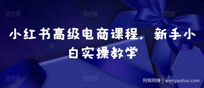 小红书高级电商课程，新手小白实操教学