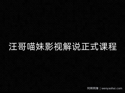 汪哥影视解说正式课程：剪映/PR教学/视解说剪辑5大黄金法则/全流程剪辑7把利器等等