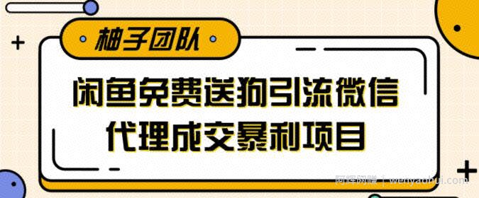 利用闲鱼免费送暴力吸粉，引流到微信代理成交暴利项目【视频课程】