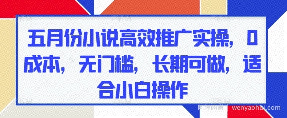 五月份小说高效推广实操，0成本，无门槛，长期可做，适合小白操作