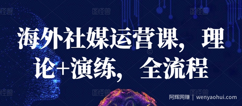 海外社媒运营课，理论+演练，全流程
