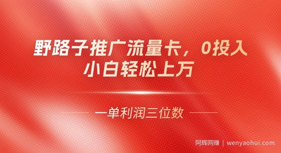 0门槛推广流量卡，一单收益上百，0投入，小白月入过W