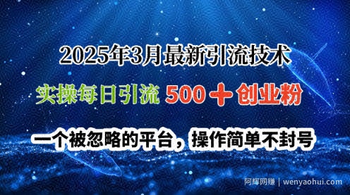 2025年3月最新引流技术，实操每日引流500+创业粉，一个被忽略的平台，操作简单不封号