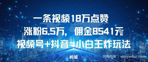 一条视频18W点赞涨粉6.5W，佣金8541视频号+抖音=小白王炸玩法