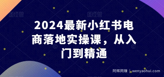 2024最新小红书电商落地实操课，从入门到精通
