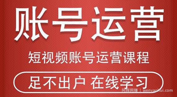 短视频账号运营课程：从话术到短视频运营再到直播带货全流程，新人快速入门