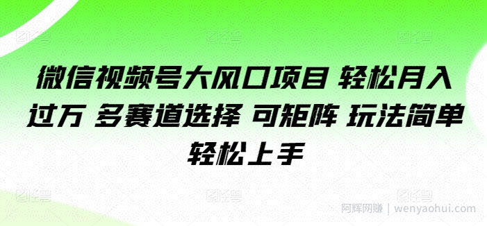 微信视频号大风口项目 轻松月入过万 多赛道选择 可矩阵 玩法简单轻松上手