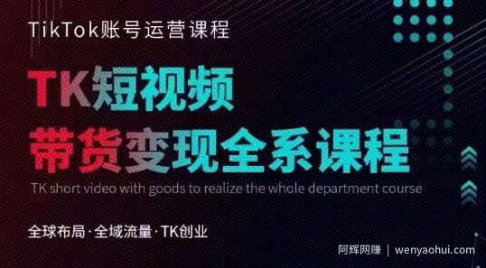 Tiktok运营线上训练营，引流爆单，急速涨粉，Tiktok短视频玩法大揭秘