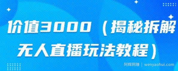 价值3000，揭秘拆解无人直播玩法教程