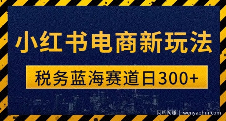 税务师小红书电商新玩法，知识撸金稳定300+
