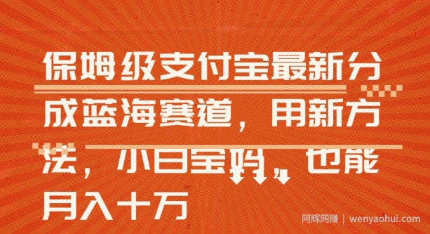 保姆级支付宝分成蓝海赛道，利用AI生成视频