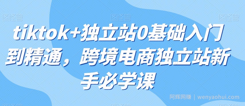 tiktok+独立站0基础入门到精通，跨境电商独立站新手必学课