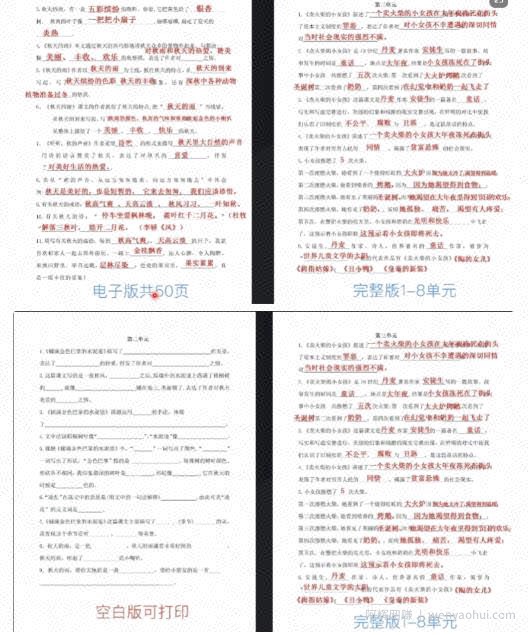 抖音K12虚拟资料变现副业项目玩法，一条龙实操经验，视频版大解析